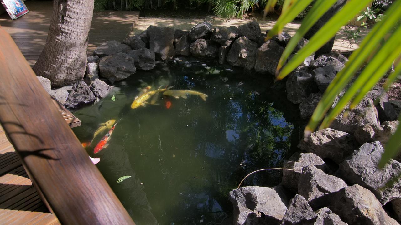 Hotel Coco Island Saint-Gilles-les Bains Ngoại thất bức ảnh